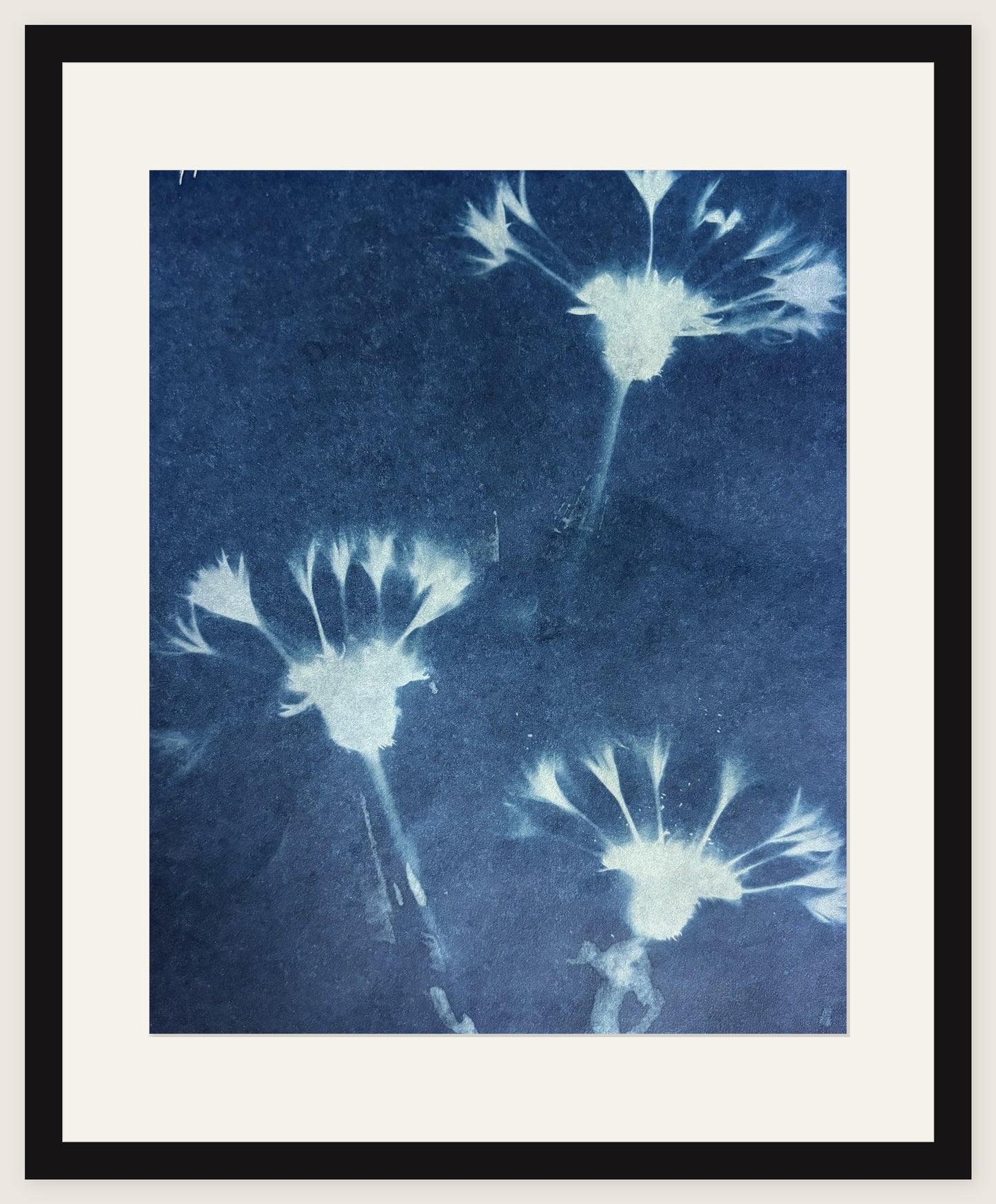 Three Thistle Heads