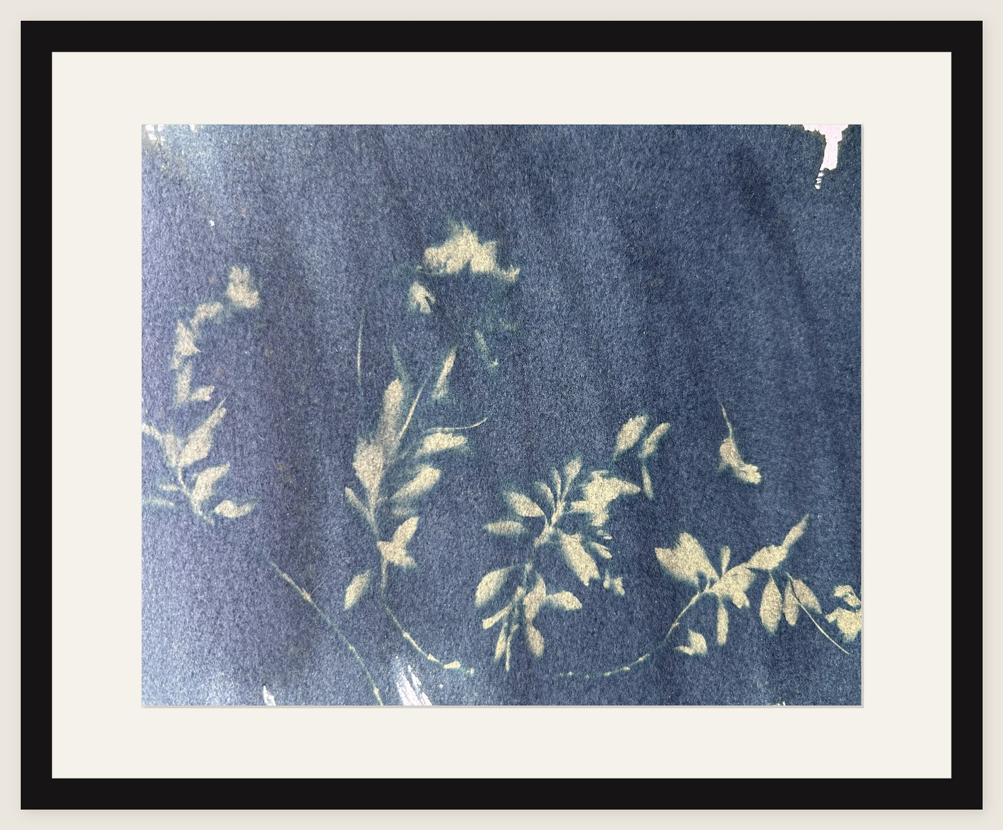 Bluebells on Indigo