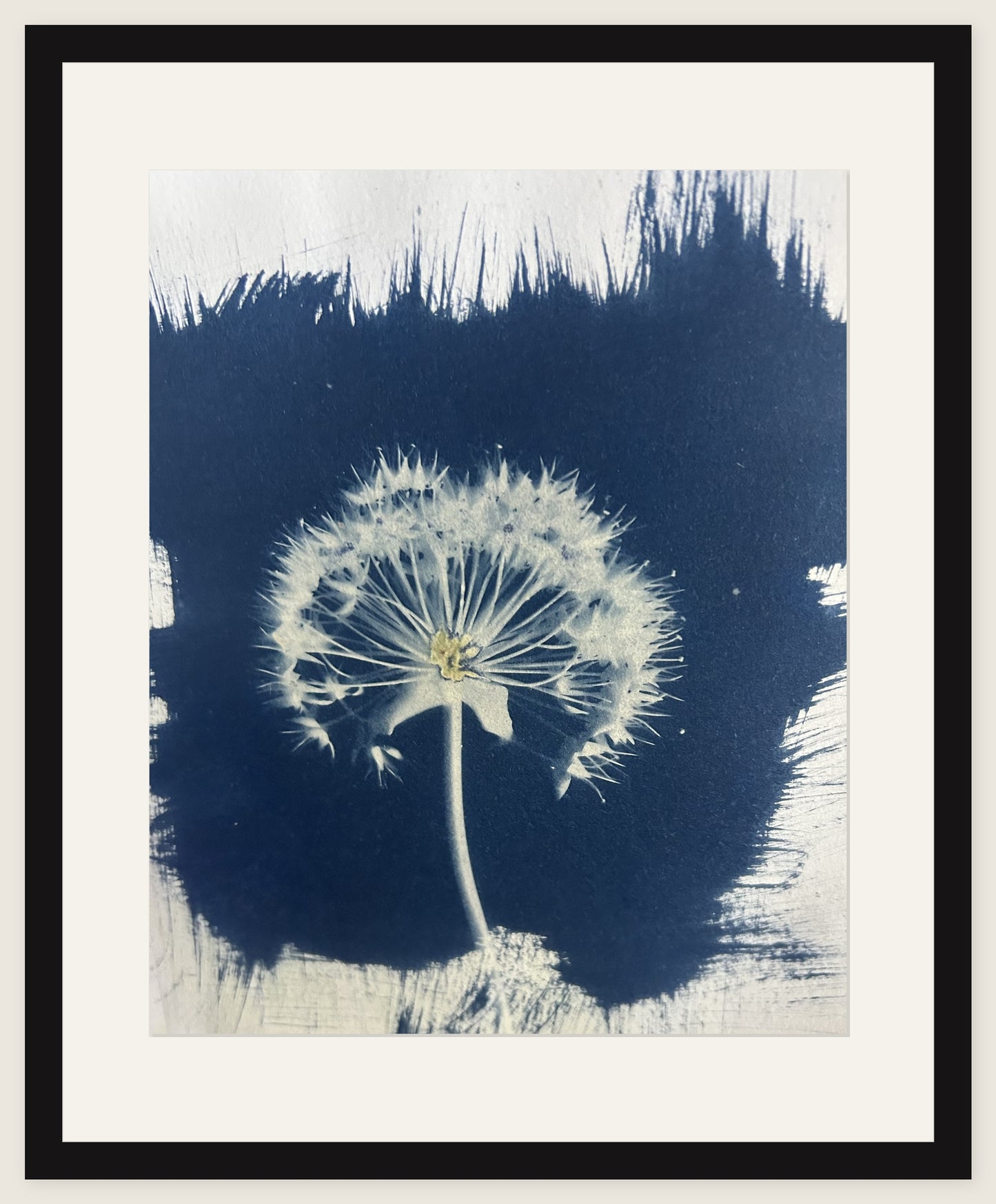 Dandelion Clock, Close Up
