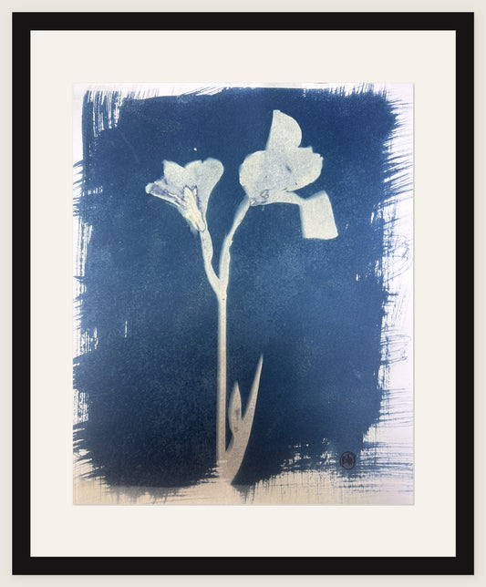 Two Blooms, Brushstroke Ground