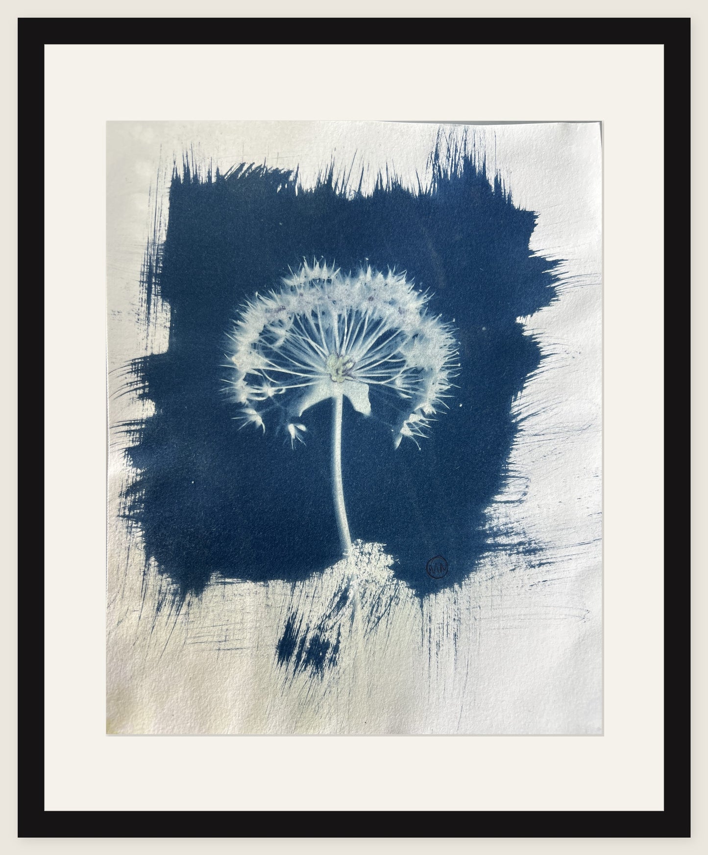 Dandelion Clock, Open Sky