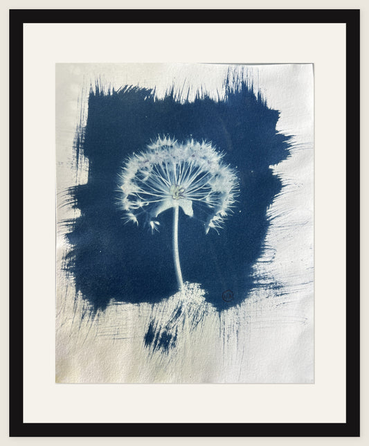 Dandelion Clock, Open Sky