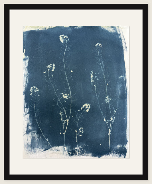 Four Flowering Stems