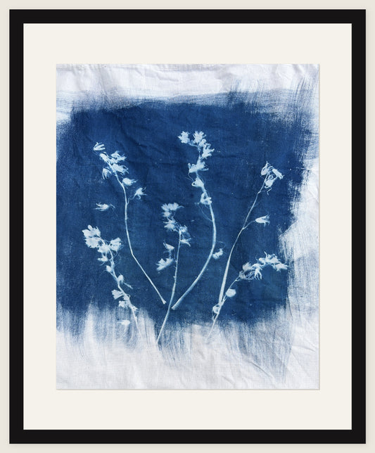 Three Flowering Stems