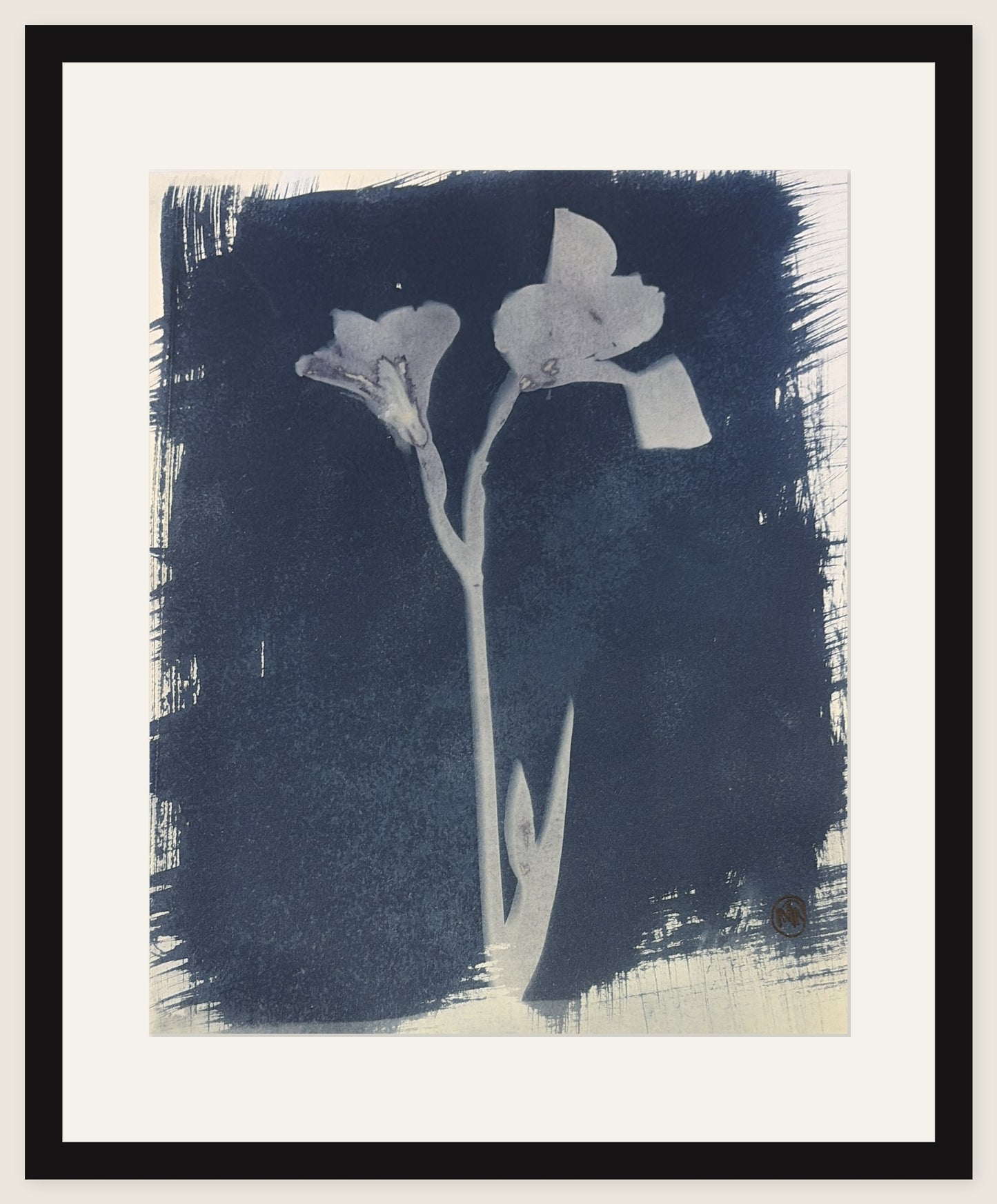 Two Blooms, Dark Ground