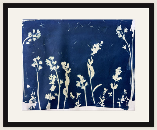 Larkspur Garden