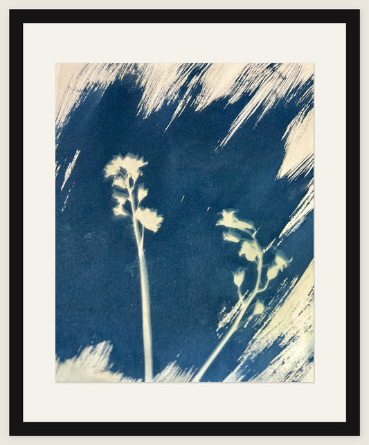 Two Stems, Wild Ground